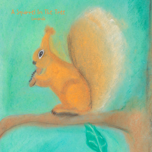 A Squirrel In The Tree