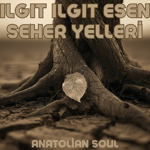 Ilgıt Ilgıt Esen Seher Yelleri