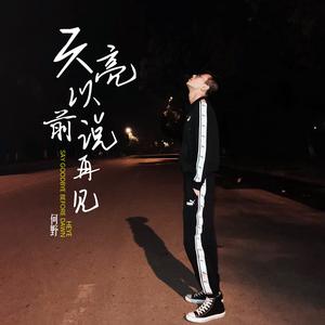 天亮以前说再见 (抖音版)