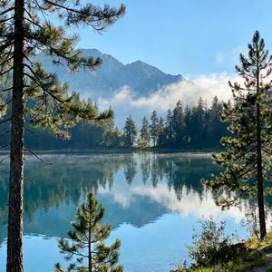 盗心贼（Cover 黑龙）