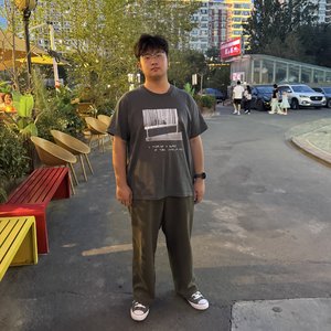 雏凤