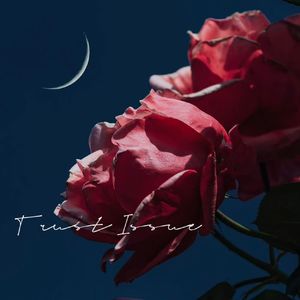 TRUST ISSUE (Prod. MoDi_dx1)