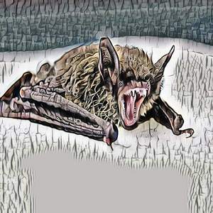 dontbemadatmeiloveyou