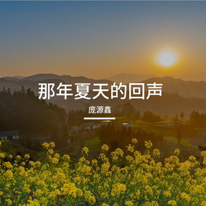 那年夏天的回声