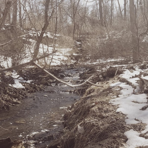 They Don't Really Care