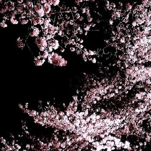 光の邁進
