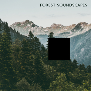 Forest Soundscapes