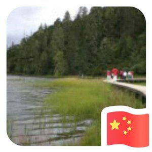 等你归来