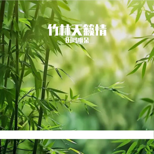 竹林天籁情