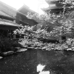 " 醉生梦死 "-POP X R&B Type Beat