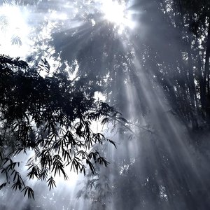 溟淬（编曲版）