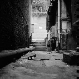 红颜旧 指弹吉他版