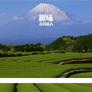 茶量为批