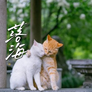 落海cover任然（抖音片段）