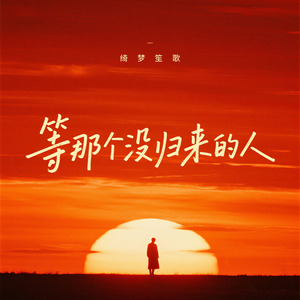 等那个没归来的人