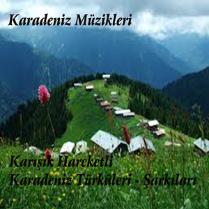 Mazarını Kazacağım