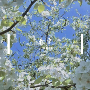 春雪