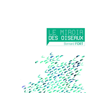 Sereine vivacité: La mésange charbonnière