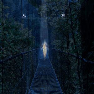 丛林 伴奏