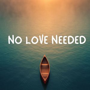 No Love Needed