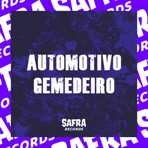 AUTOMOTIVO GEMEDEIRO