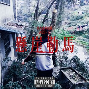 佳叶疑是为同心