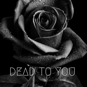 DEAD TO YOU