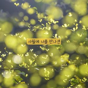 사월에 너를 만나면