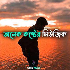 অনেক কষ্টের মিউজিক