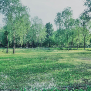 涌动（instrumental）