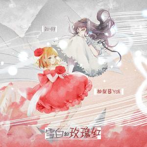 雪白和玫瑰红（翻自 蓝心羽）