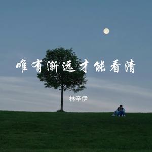 有些话想说有些话来不及说