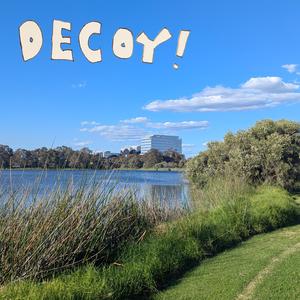 Decoy!