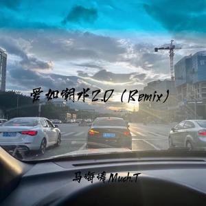 爱如潮水2.0（Remix）