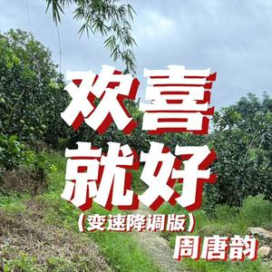 欢喜就好 (变速降调版)