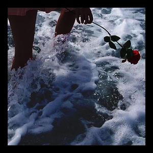 wait for me (feat. 4evr)