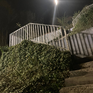 I should've told her