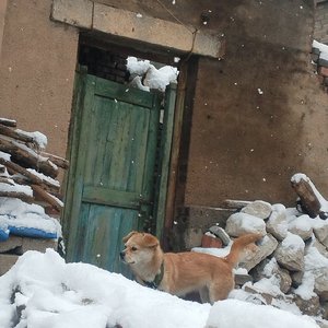 碎雪意Fragmented snow