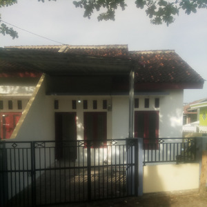 Bird Song (Acoustic)