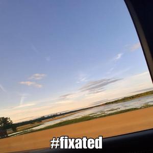 fixation