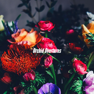 Background for Iced Double Americano