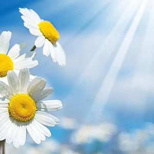 多想在平庸的世界拥抱你(：隔壁老樊)