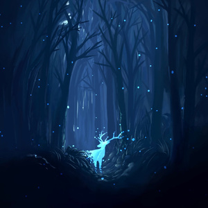 外婆的蒲公英电台