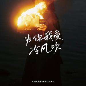 为你我受冷风吹 - R&B微醺女声