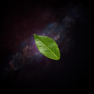 Who Woke Up Houdini? (Instrumental)