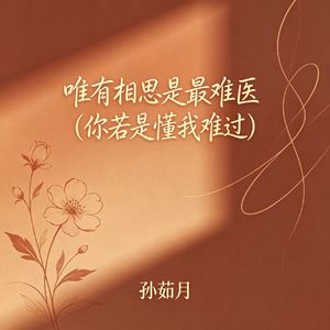 唯有相思是最难医（你若是懂我难过）