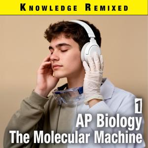 Folding into Function (Proteins Structure)