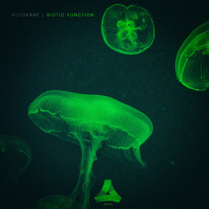 Biotic (Original Mix)