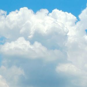 期待花期的孩子