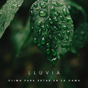 Baile De La Lluvia